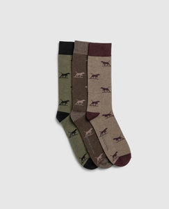 Rodd & Gunn Dogs A Plenty Three Pack Socks Earth Multi