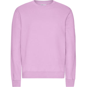 Colorful Standard Organic Cotton Crew Neck Sweatshirt Cherry Blossom